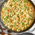 Chicken and Dumplings - A creamy, hearty chicken stew with vegetables and homemade light and fluffy dumplings! Comes together so quick too!