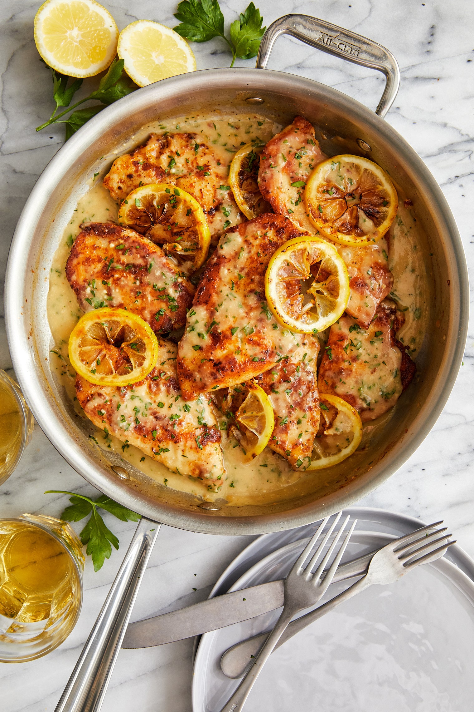 Parmesan Lemon Chicken - Golden brown, juicy, tender, parmesan-crusted chicken breasts in a creamy, lemon-garlicky sauce made in 30 minutes!