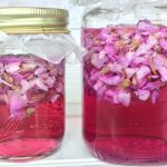 Violet Infused Vinegar Recipe for colorful salad dressings