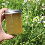 Chamomile Jelly