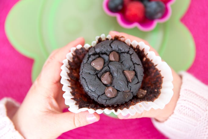 chocolate lentil protein muffins