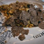 Croatian Truffles: Go White Truffle Hunting in Istria!