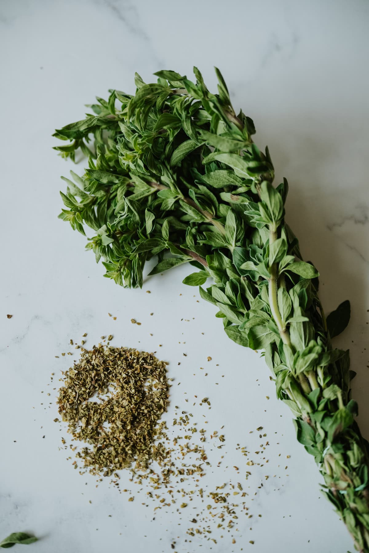 bundle of fresh mexican oregano and some dried mexican oregano on a white marble surface.