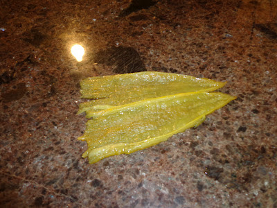 Dehydrating Roasted Green Chili - Frugal Living on the Ranch