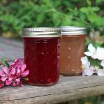 Apple Blossom Jelly (Or Cherry, Peach, Pear, etc.)