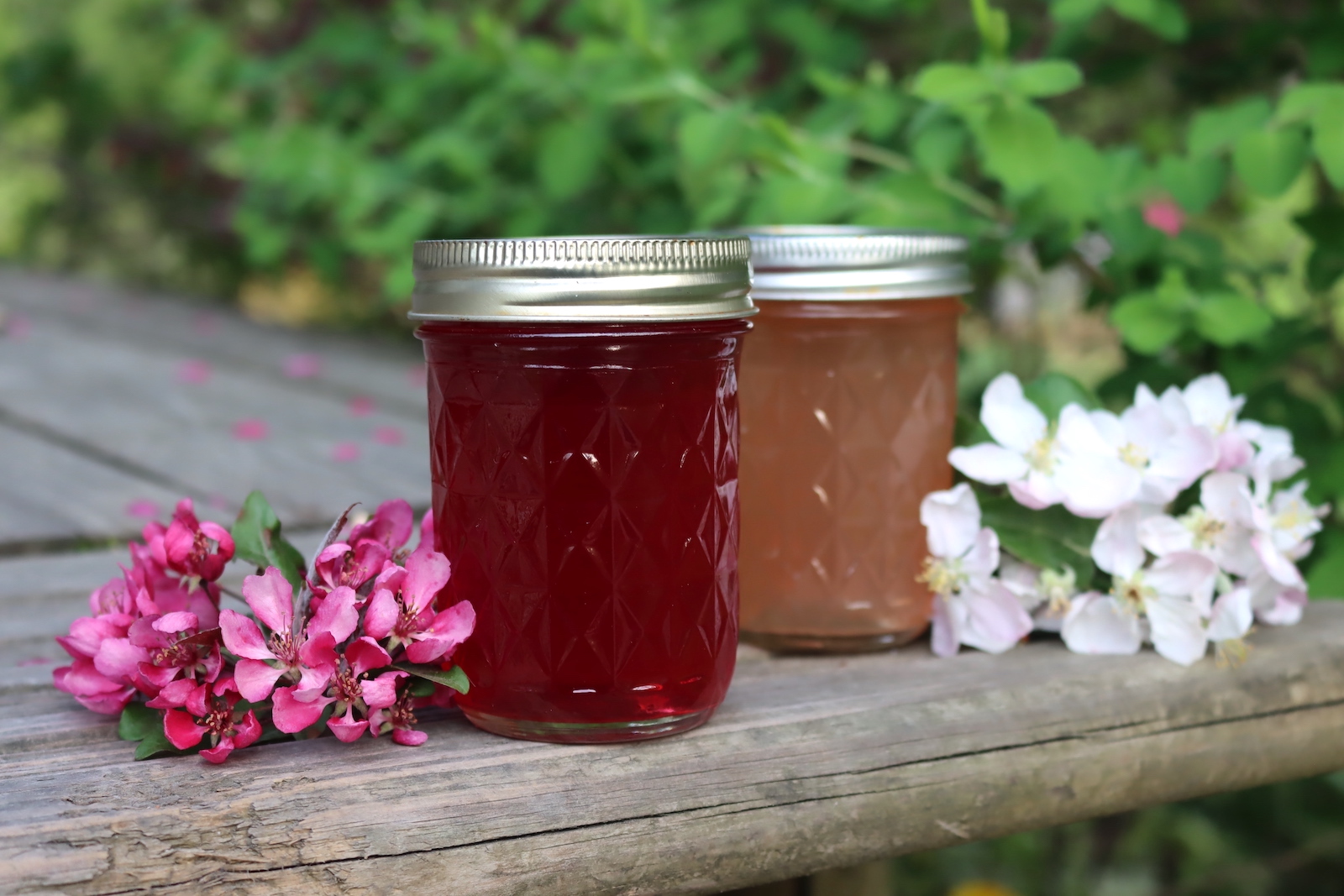 Apple Blossom Jelly (Or Cherry, Peach, Pear, etc.)