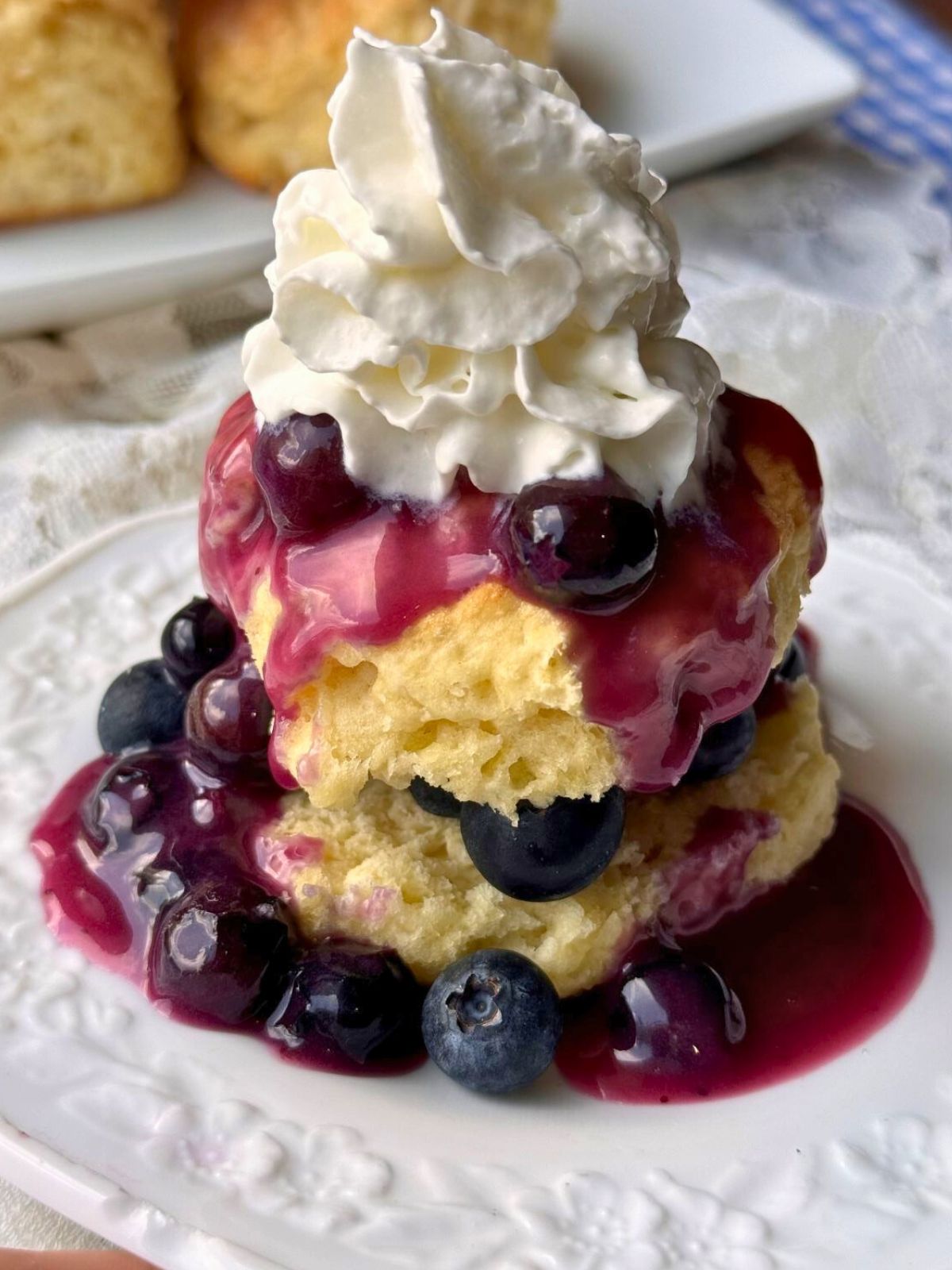 BLUEBERRY SHORTCAKE - The Southern Lady Cooks