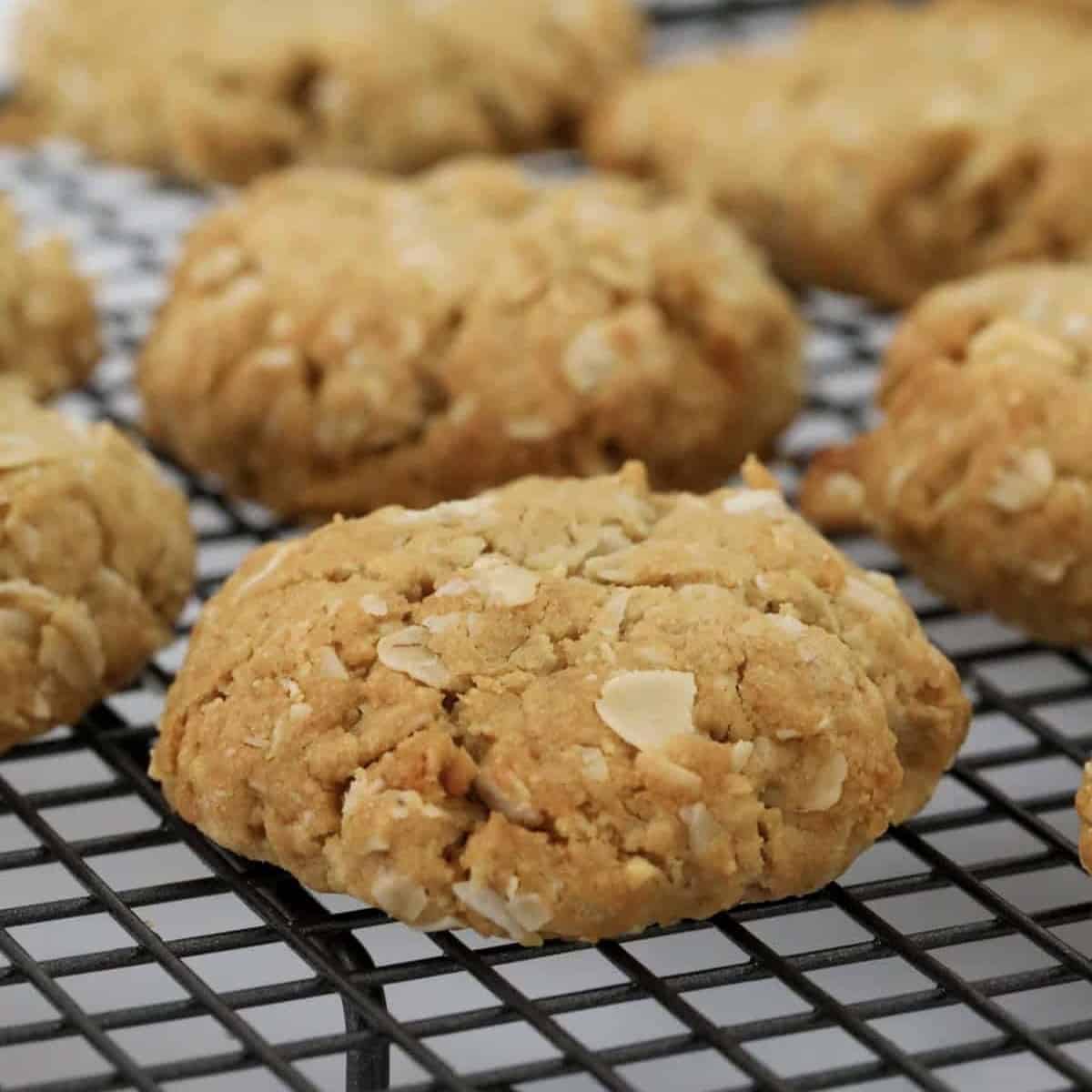 Soft and chewy gluten free ANZAC biscuits on a cooling rack.