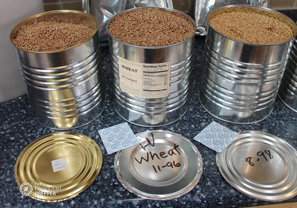 Food Storage: How to Store Wheat So It Is Still Delicious 31 Years Later