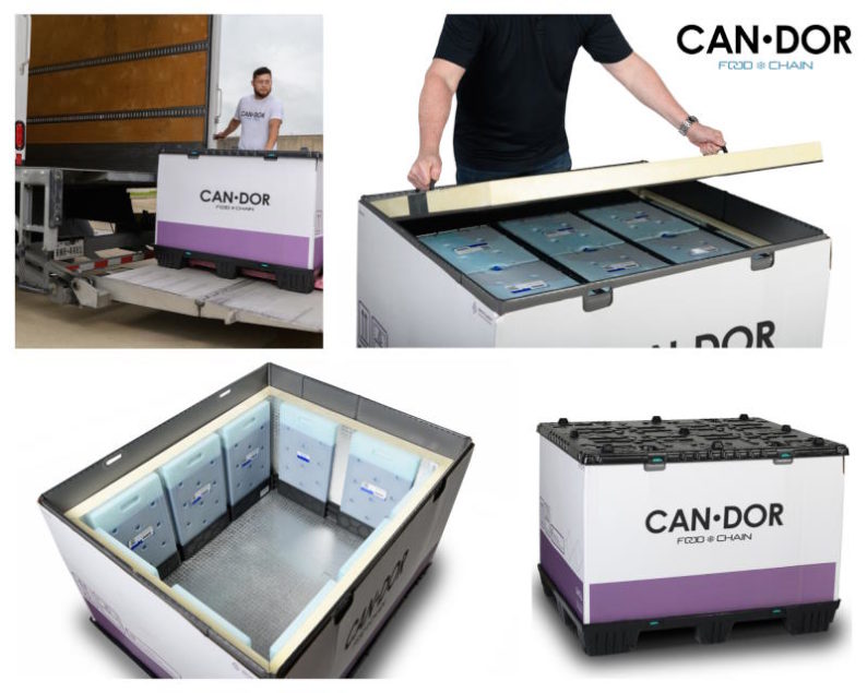 Candor Expedite Unveils Reusable Cold Packaging for Pallet Shipments