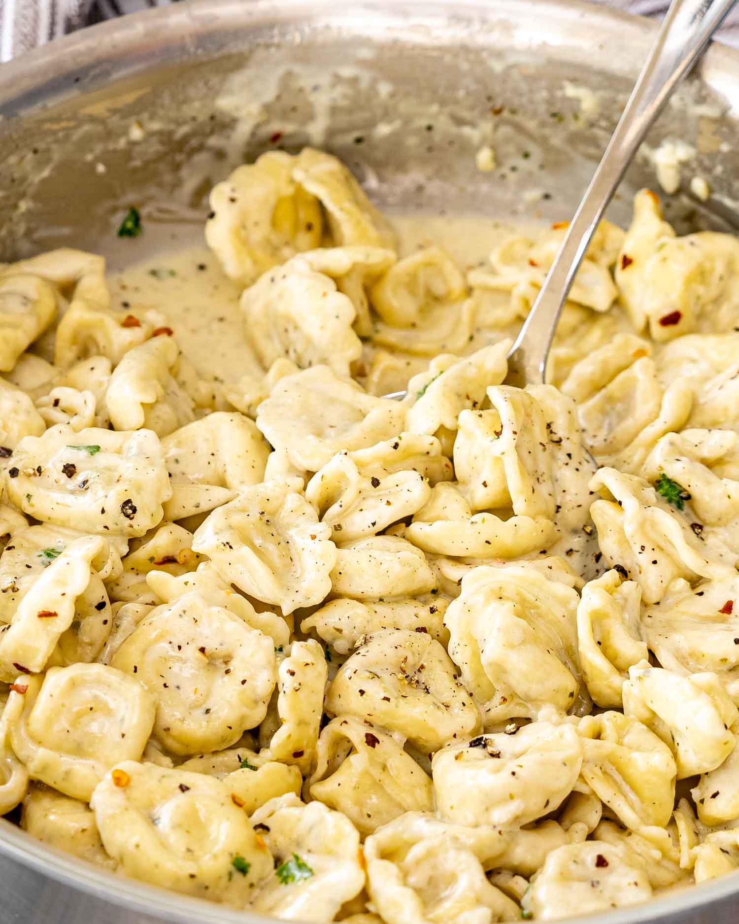 freshly made creamy tortellini in a skillet.