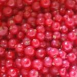 Good Fillings... Currant Pie Filling