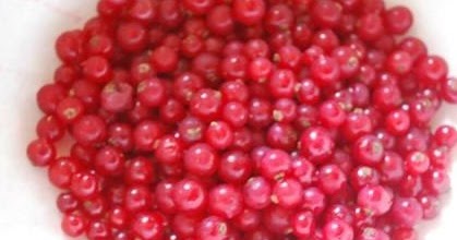 Good Fillings... Currant Pie Filling