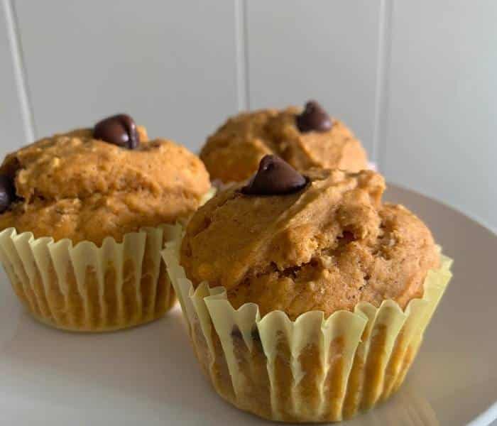 scrumptious pumpkin chocolate chip oat muffins